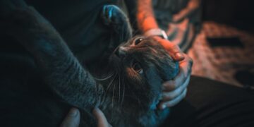 Help Grieving Pet After Loss