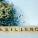 What Is Business Resilience