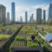 How Urban Farming Contributes to Sustainability: Benefits & Future