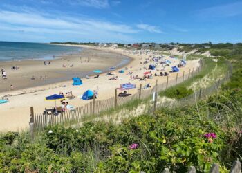 best things to do in cape cod