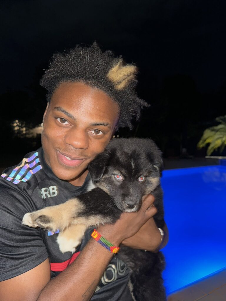 IShowSpeed Net Worth